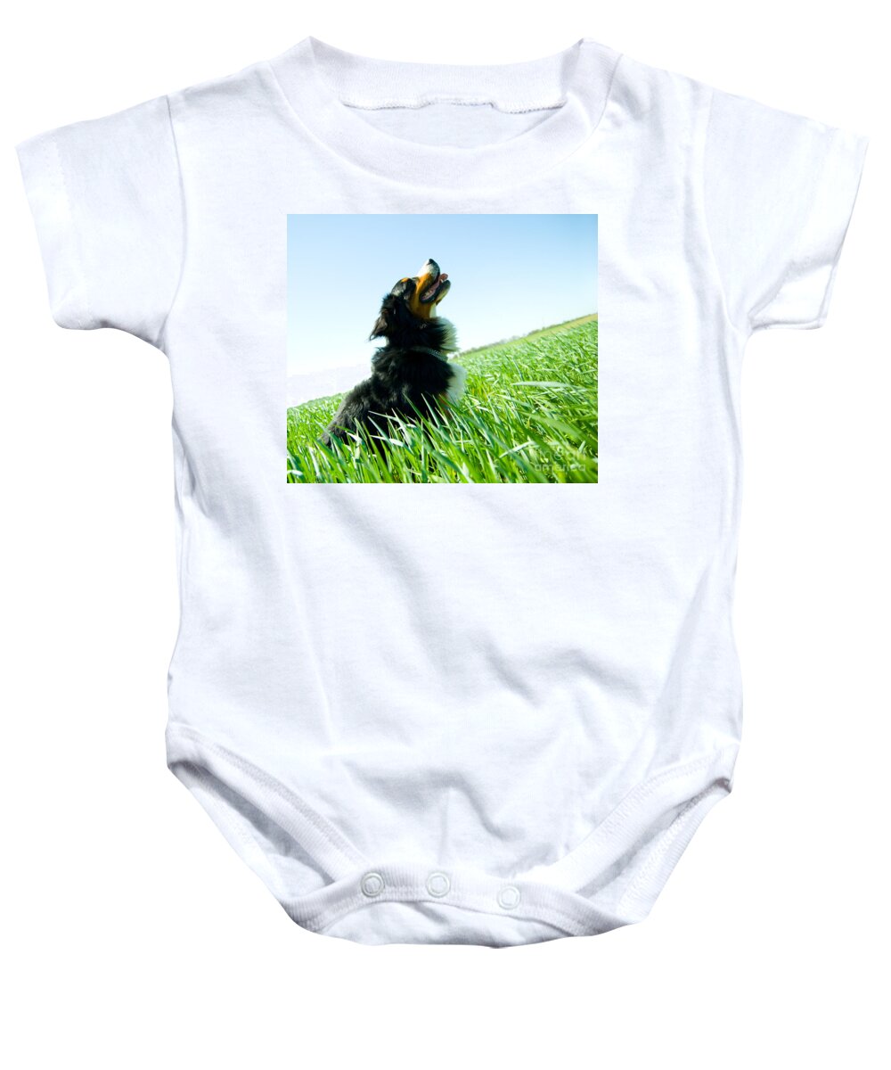 Adorable Baby Onesie featuring the photograph A cute dog on the field by Michal Bednarek