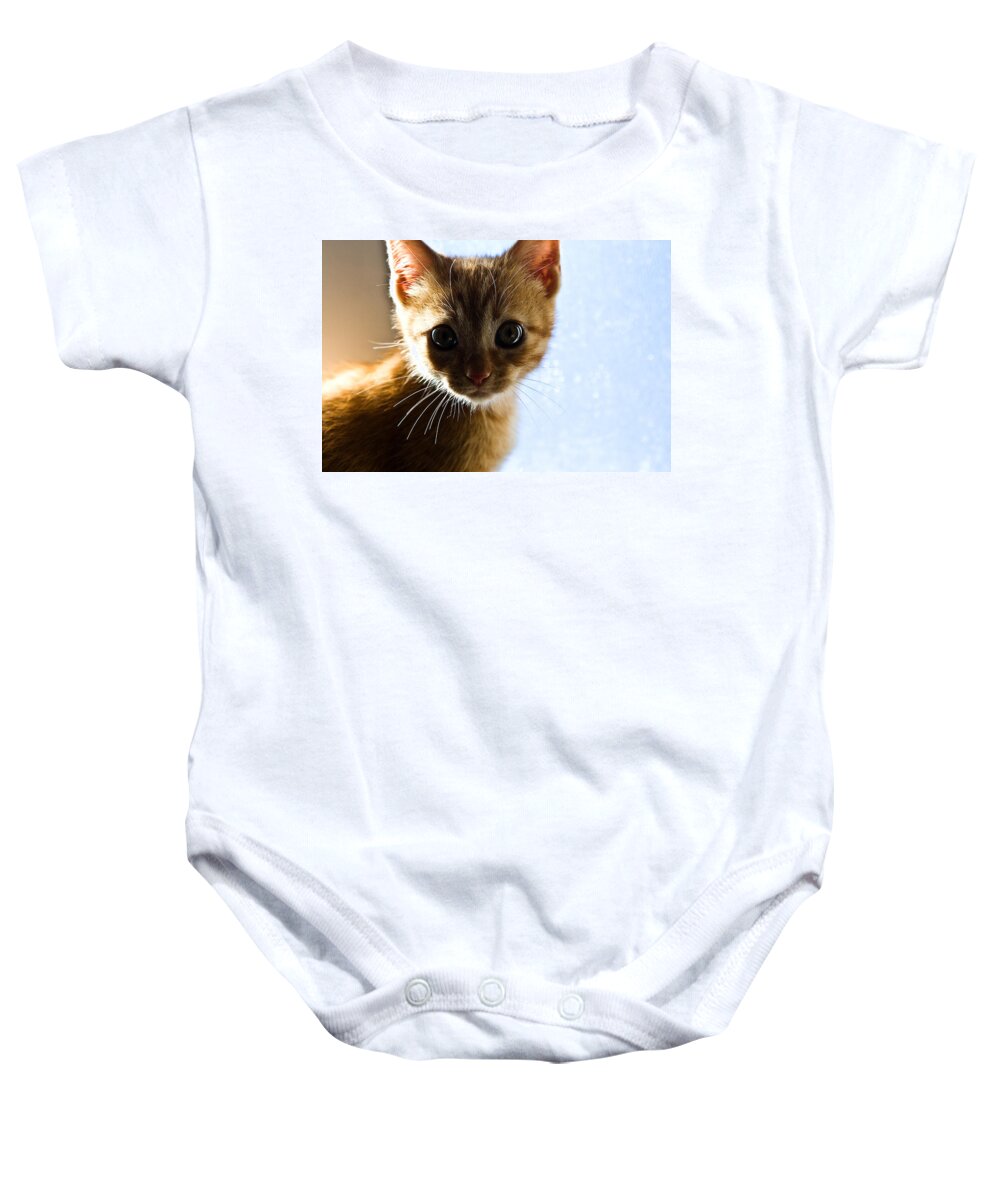 Cat Baby Onesie featuring the photograph Amazed by Jorge Maia
