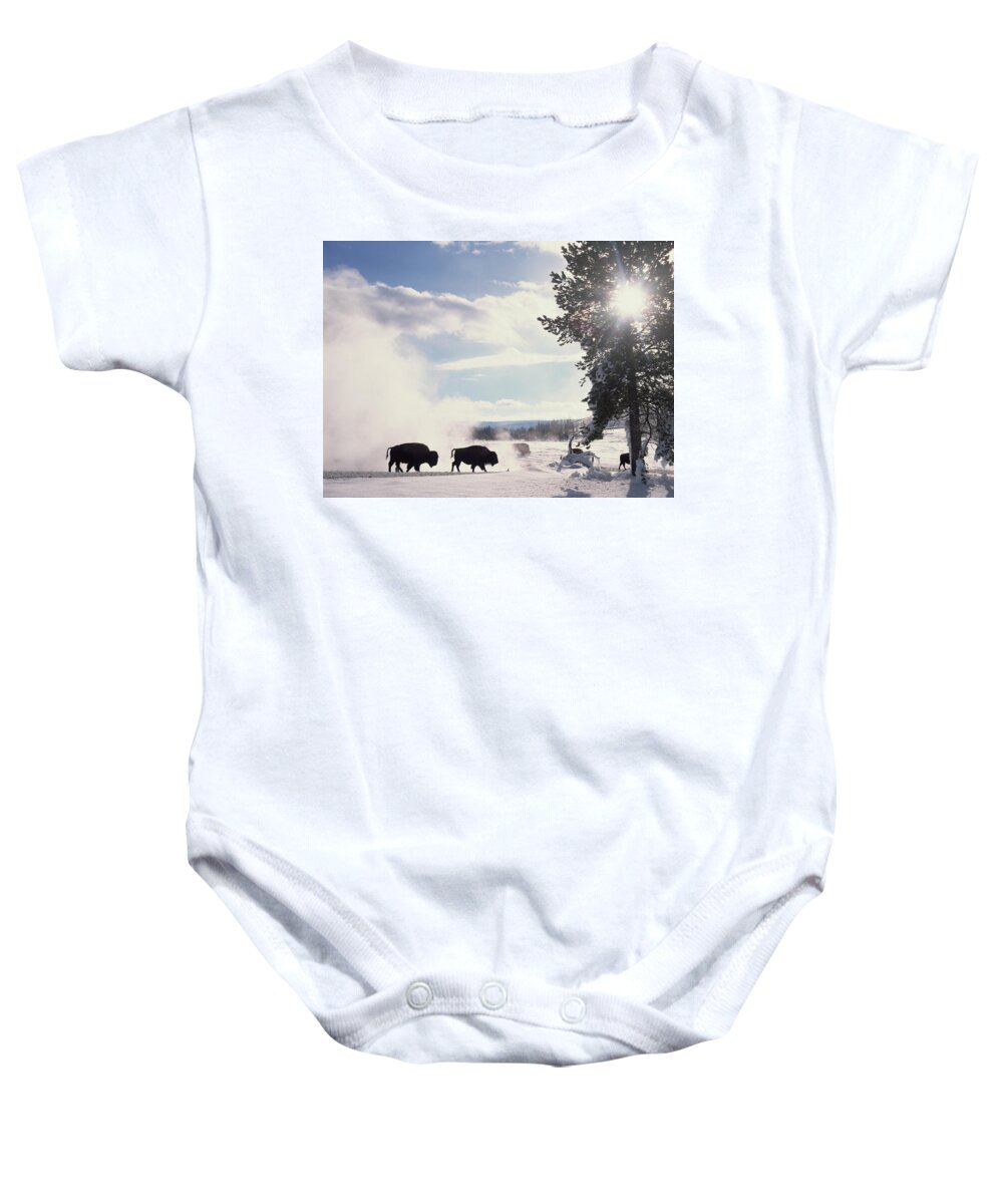 Mp Baby Onesie featuring the photograph American Bison In Winter by Tim Fitzharris