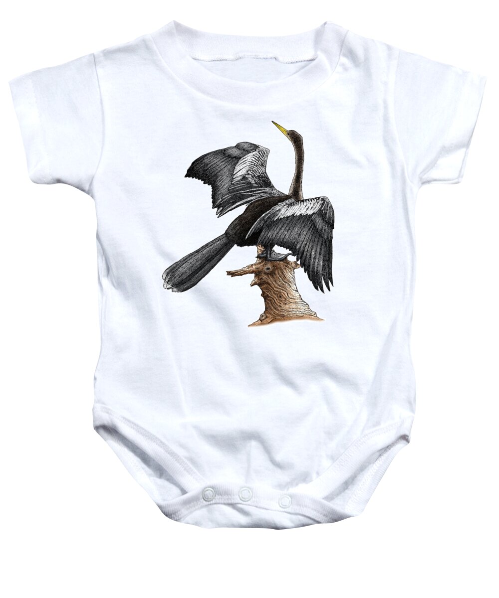Art Baby Onesie featuring the photograph Anhinga by Roger Hall