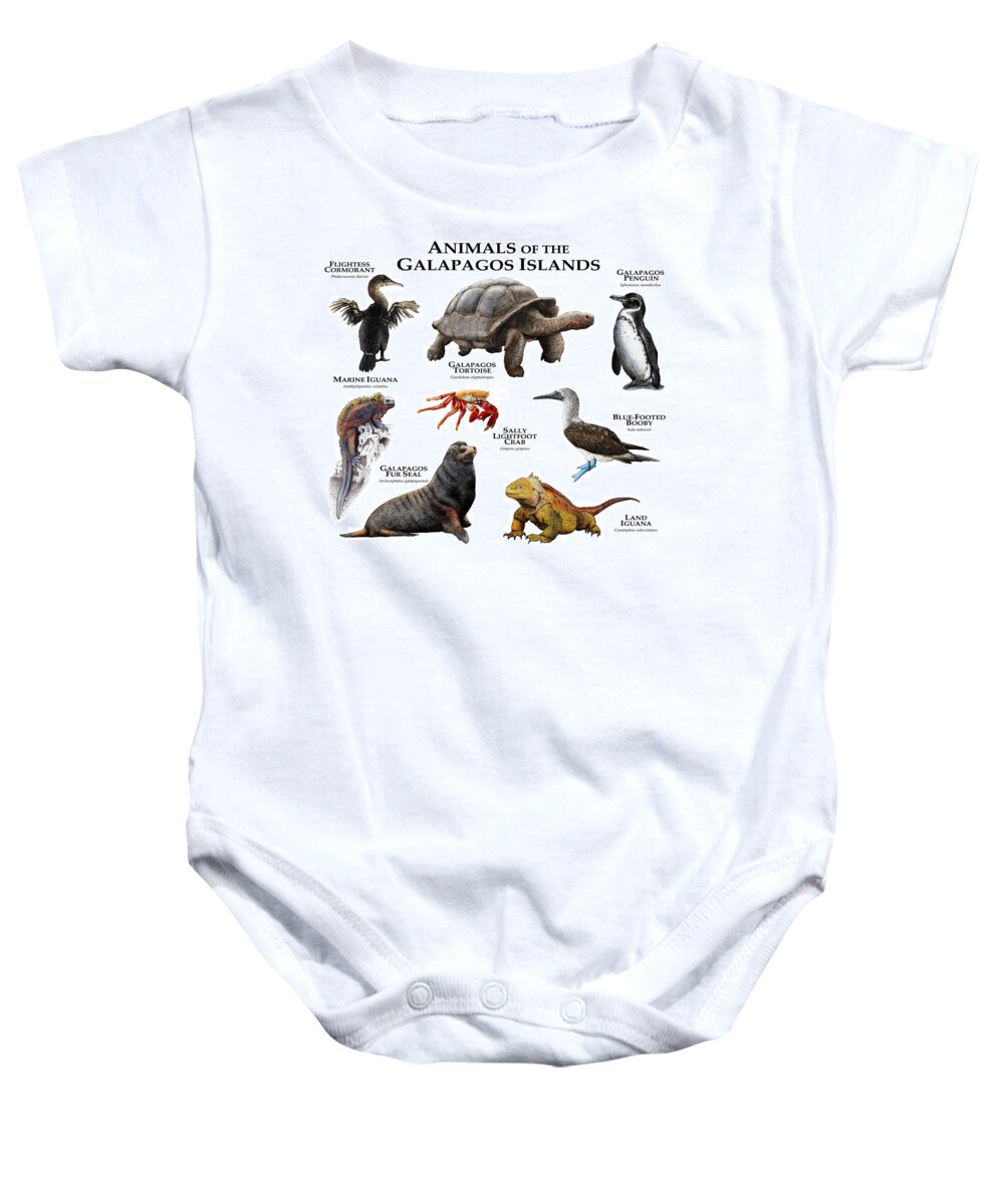 Animal Baby Onesie featuring the photograph Animals Of The Galapagos Islands by Roger Hall