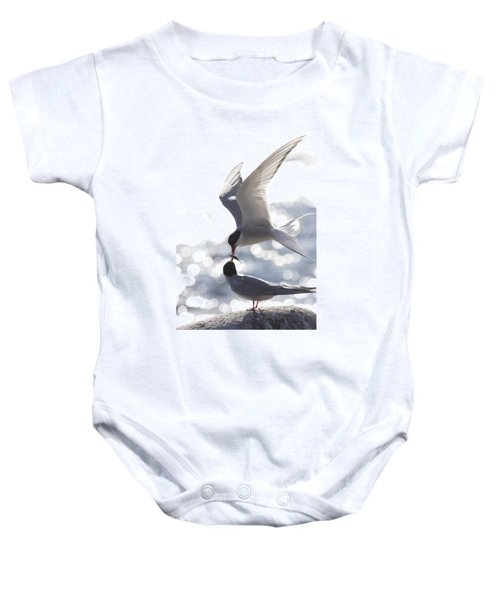 Arctic Tern Baby Onesie featuring the photograph Arctic terns feeding each other by Ulrich Kunst And Bettina Scheidulin