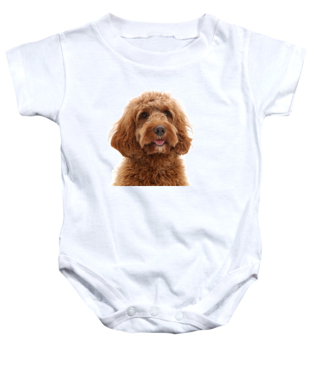 Animals Baby Onesie featuring the photograph Australian Labradoodle by Mark Taylor