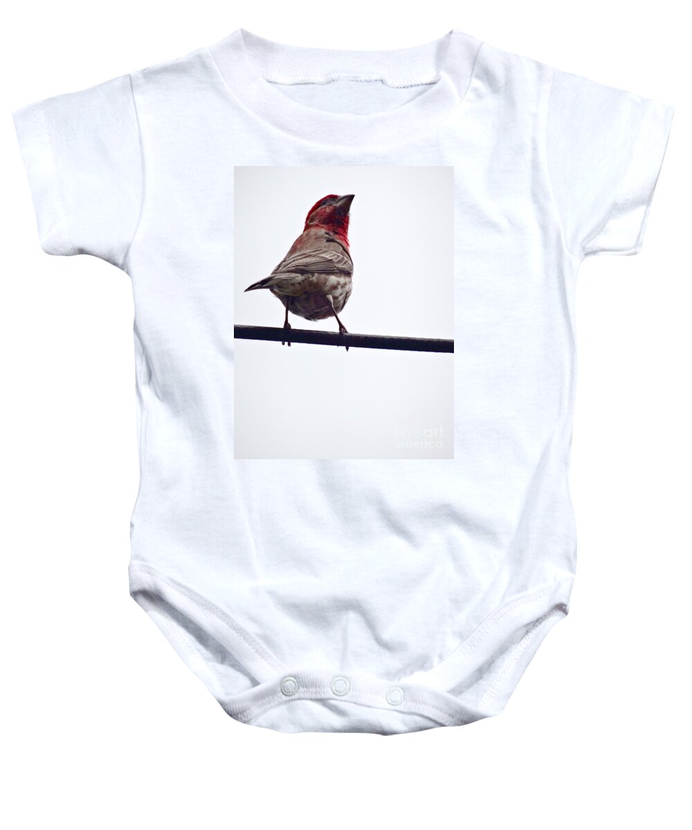 Finch Baby Onesie featuring the photograph Bird On a Wire by Christopher Plummer