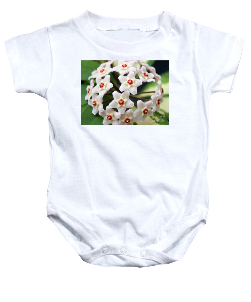 Flower Baby Onesie featuring the photograph Blossom Explosion by Debbie Hart