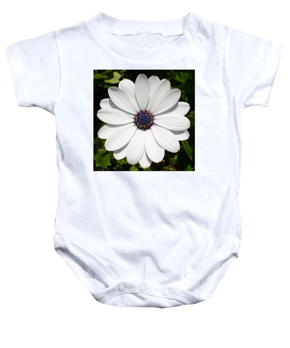 Birthday Baby Onesie featuring the photograph Blossoming White Osteospermum by Taiche Acrylic Art