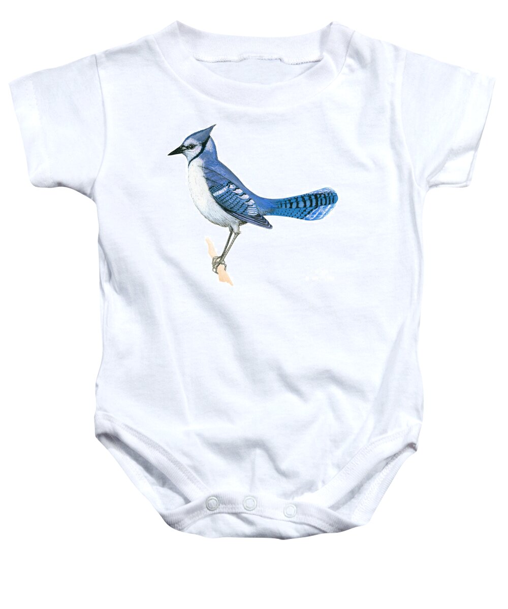 Blue Jay Baby Onesie featuring the drawing Blue jay by Anonymous