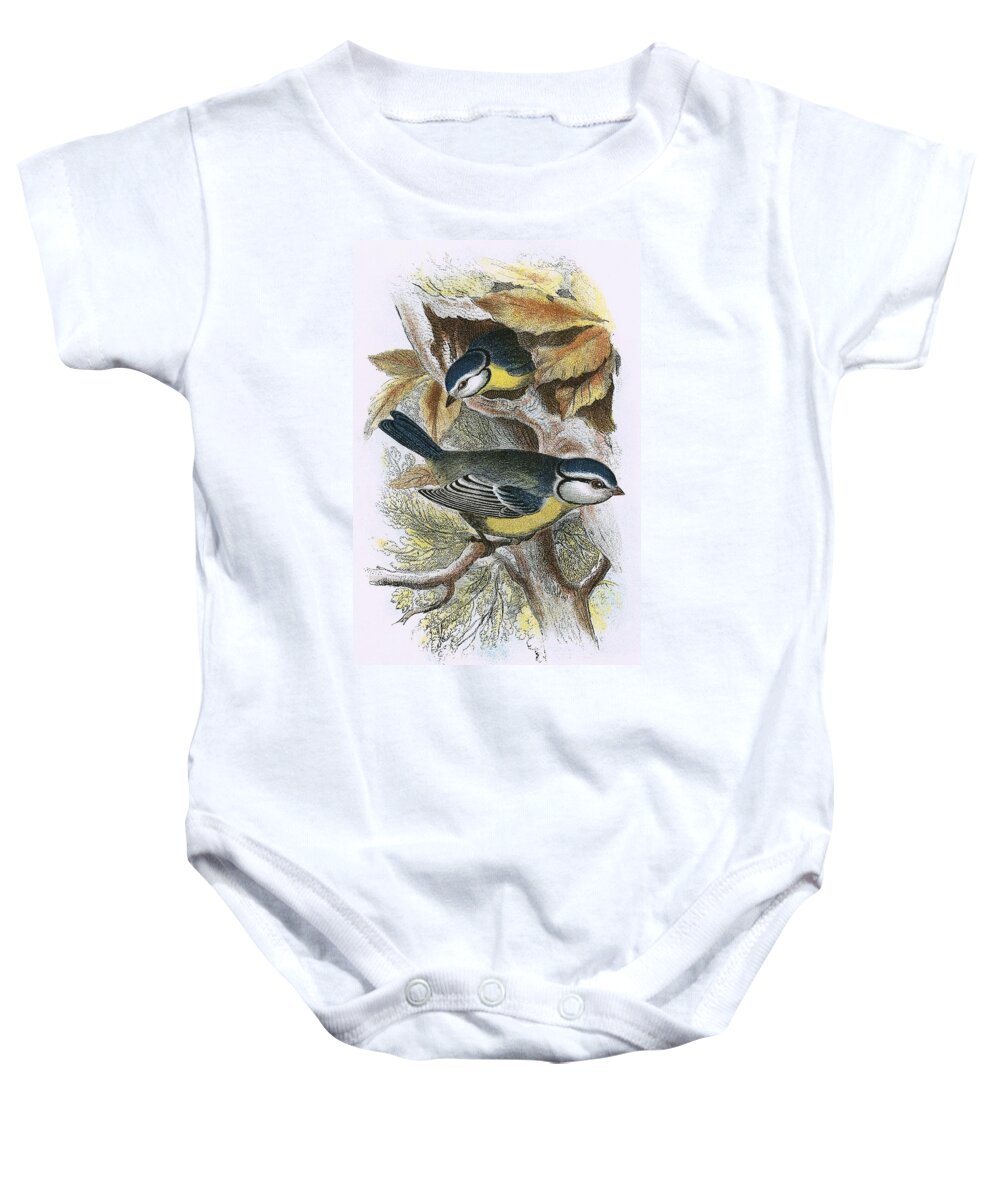 British Birds Baby Onesie featuring the photograph Blue Titmouse by English School