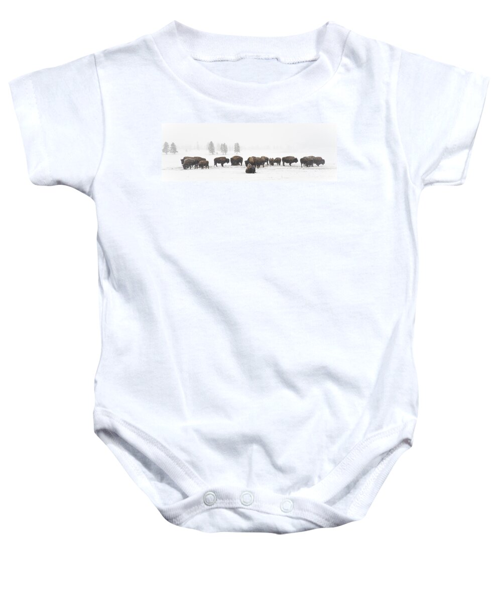 Yellowstone Baby Onesie featuring the photograph Buffalo Herd in Snow by Bill Cubitt