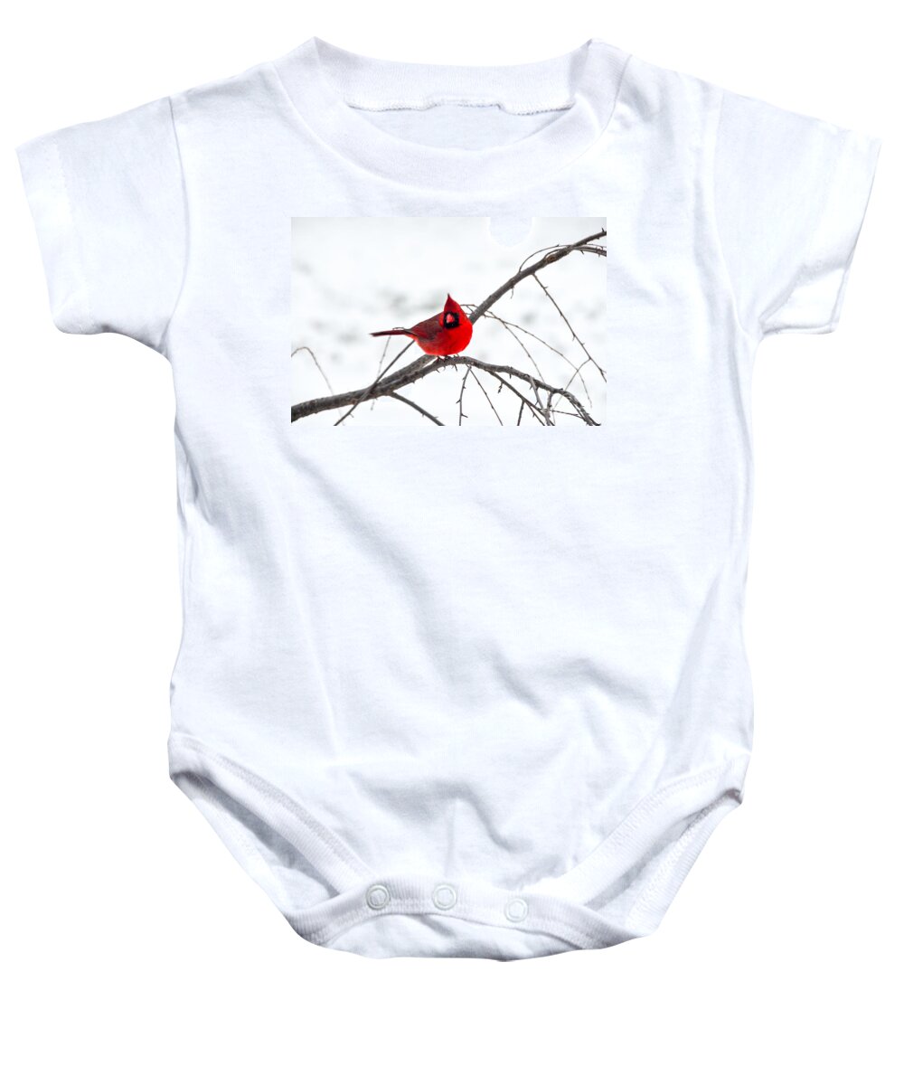 Cardinal Baby Onesie featuring the photograph Cardinal On A Branch by Mary Carol Story