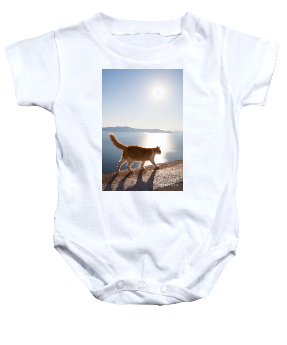 Cat Baby Onesie featuring the photograph Cat walking on a wall Santorini Greece by Matteo Colombo