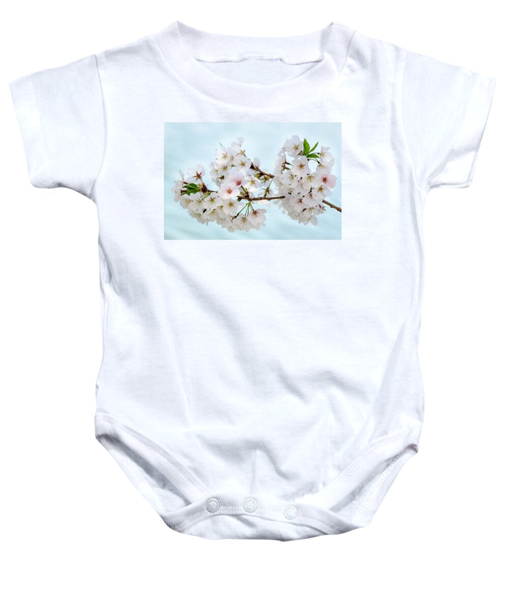 Dc Cherry Blossom Festival Baby Onesie featuring the photograph Cherry Blossoms No. 9146 by Georgette Grossman