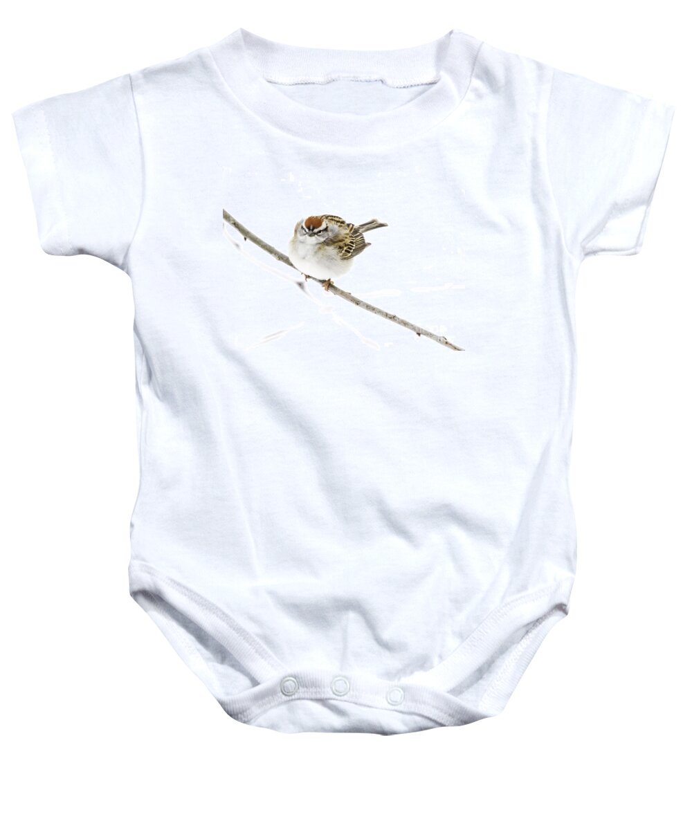 Chipping Sparrow Baby Onesie featuring the photograph Chip by Jan Killian