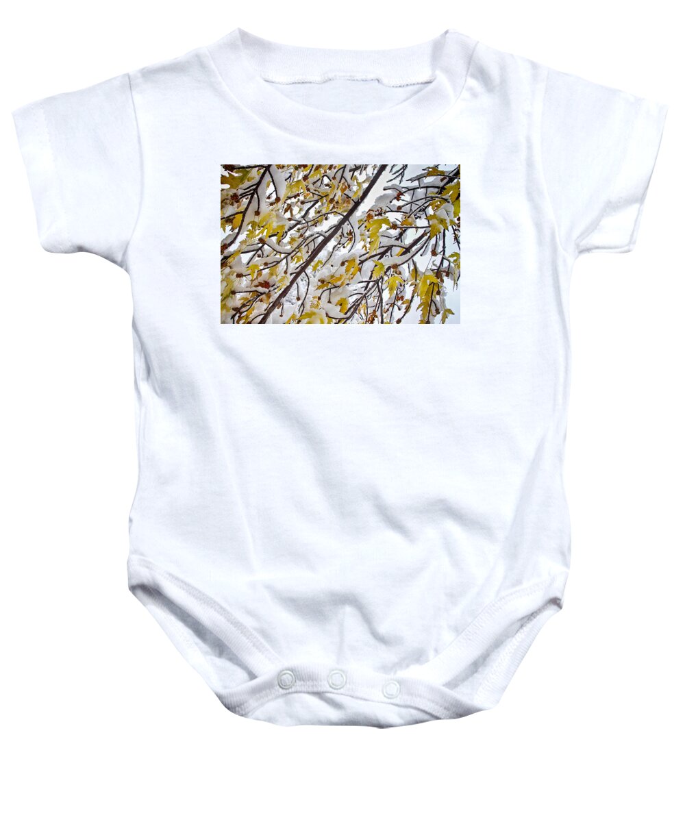 Tree Baby Onesie featuring the photograph Colorful Maple Tree Branches In The Snow 3 by James BO Insogna