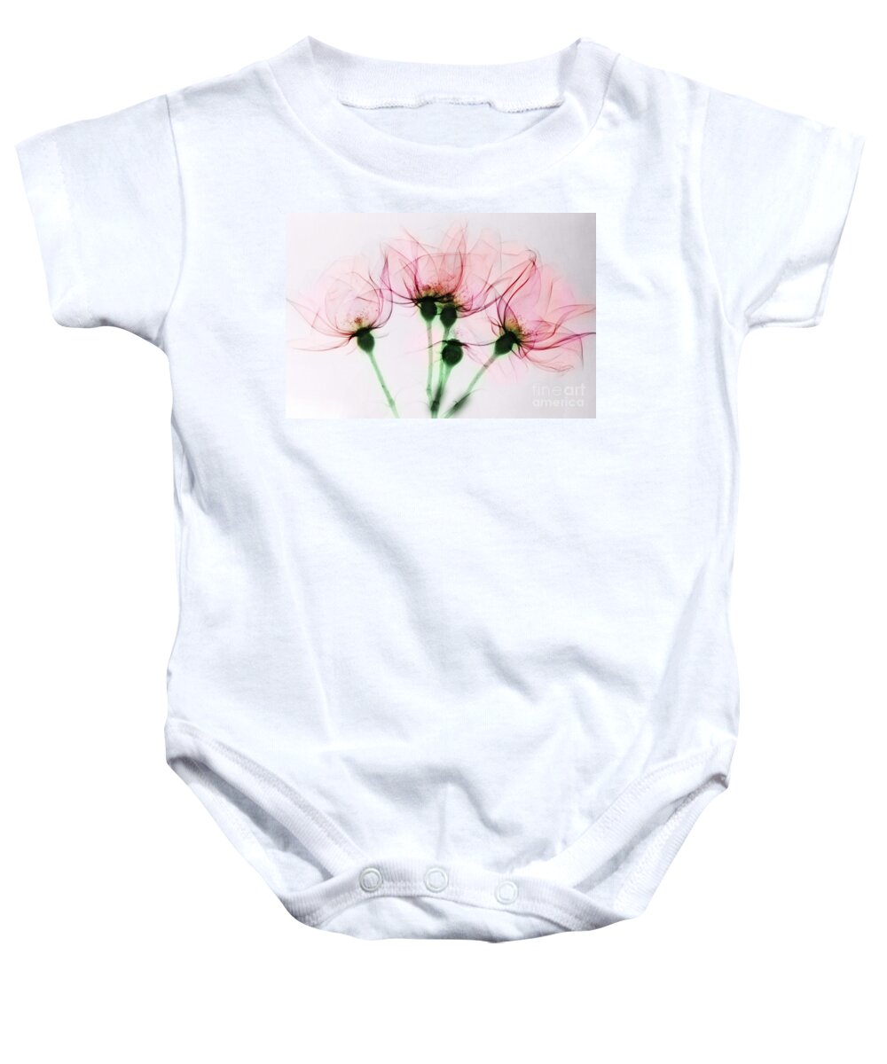 Rose Baby Onesie featuring the photograph Colorized X-ray Of Roses by Scott Camazine