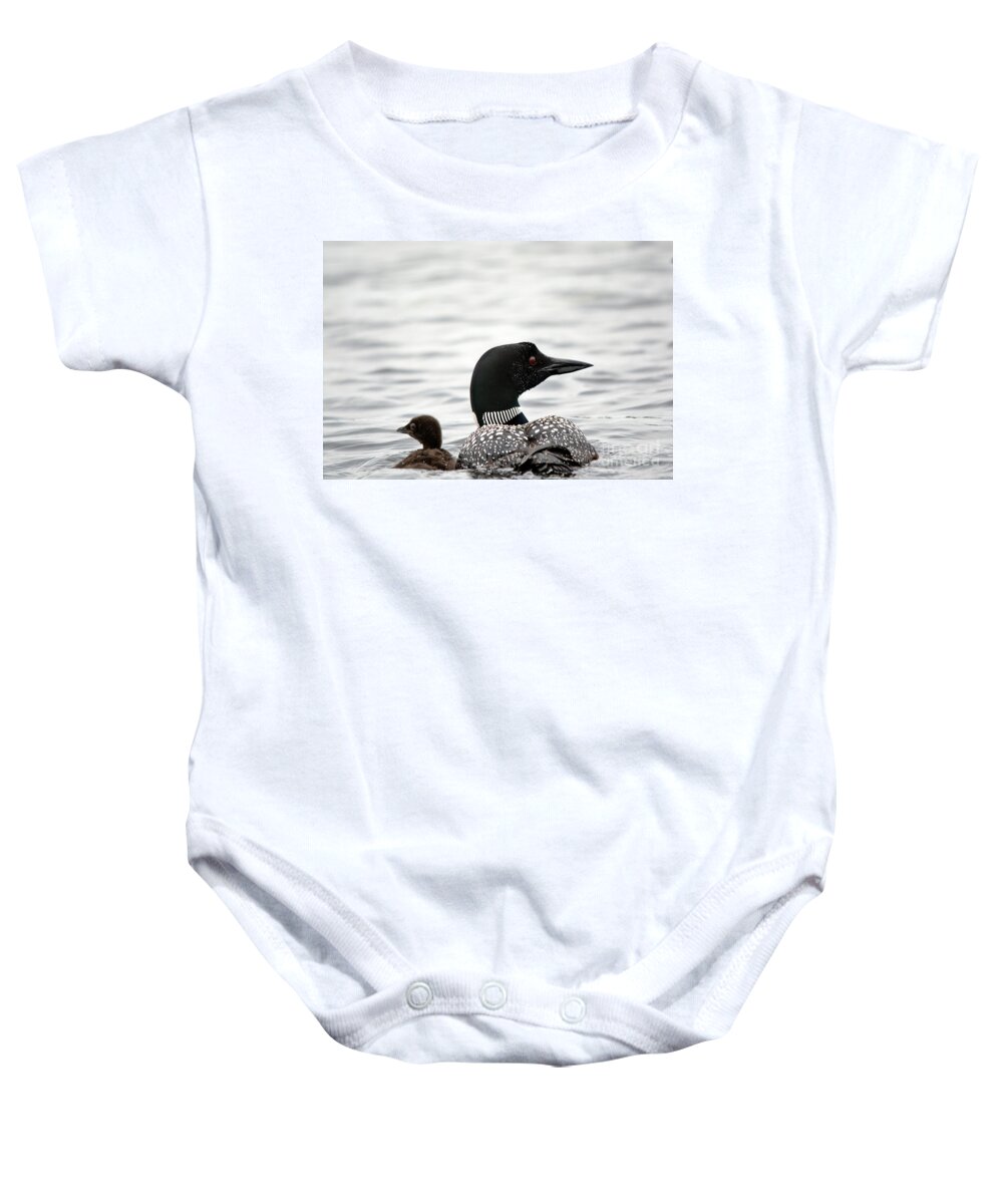 Common Loon Baby Onesie featuring the photograph Common Loon and Baby by Cheryl Baxter