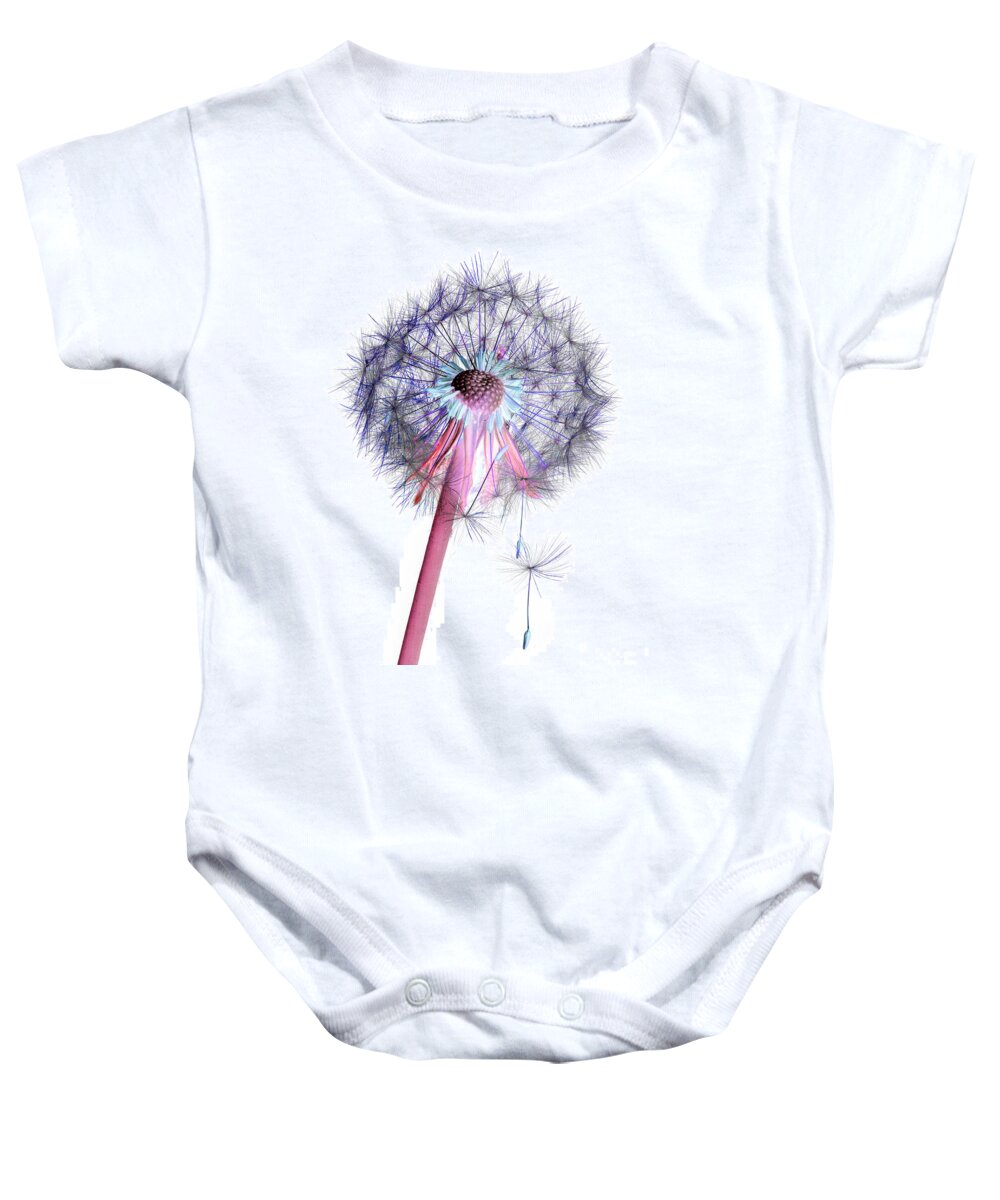 Photo Baby Onesie featuring the photograph Dandelion Clock No.2 by Tony Mills