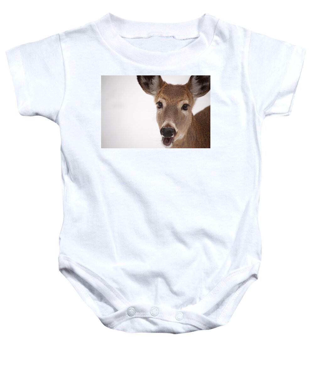 Deer Baby Onesie featuring the photograph Deer Talk by Karol Livote