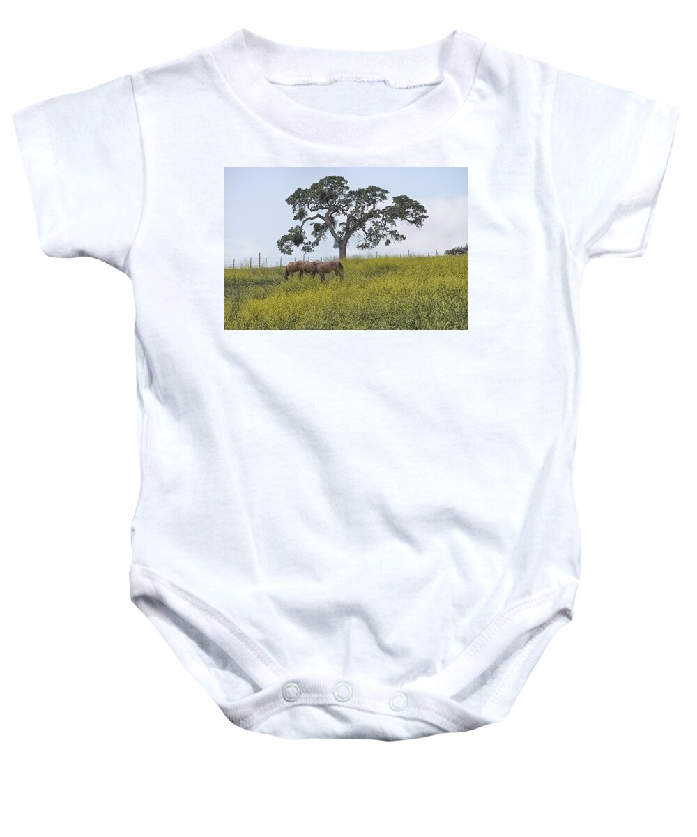 Horses Baby Onesie featuring the photograph Diablo Horses by Robin Mayoff