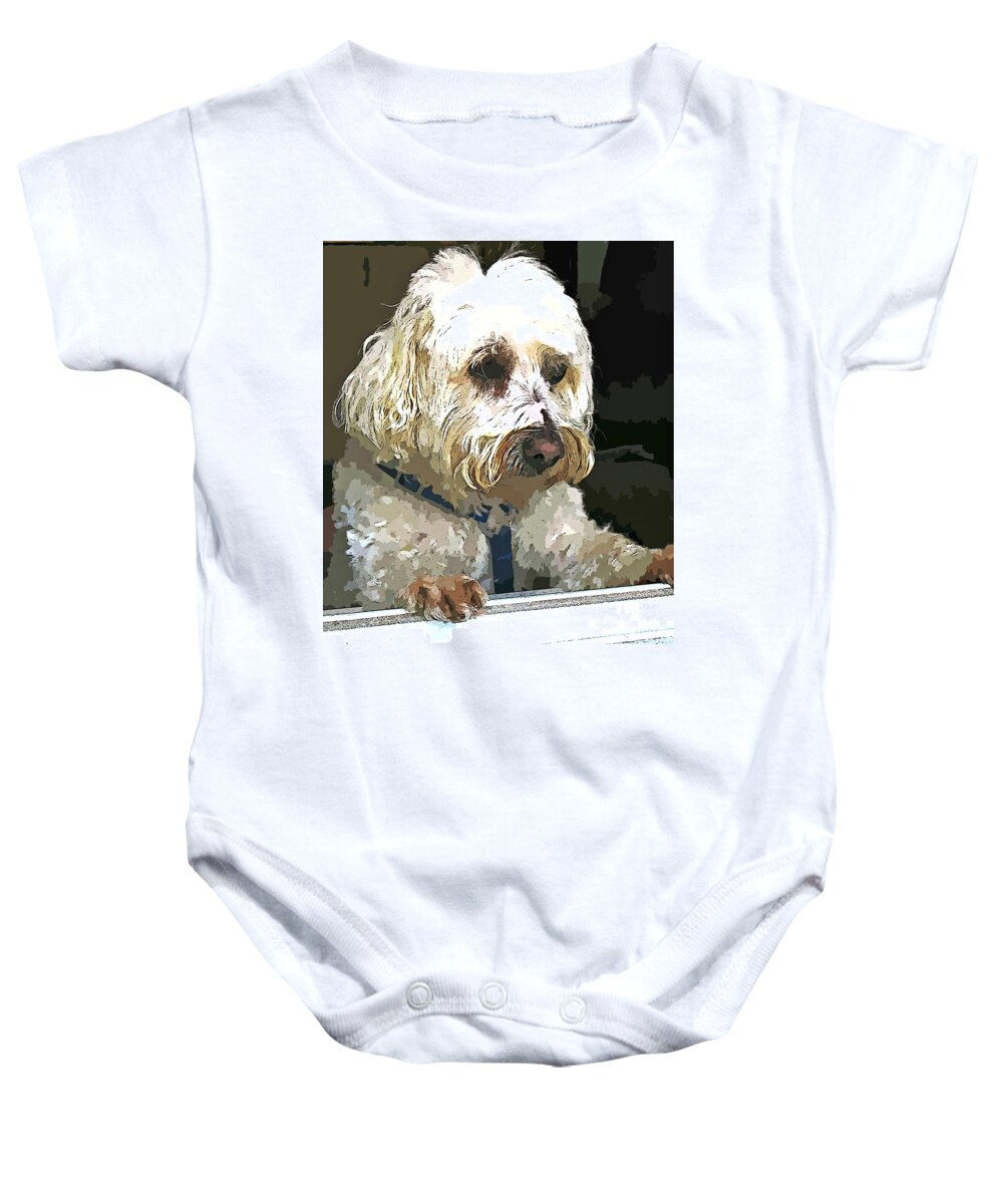 Dog Baby Onesie featuring the photograph Doggie In The Window by Judy Palkimas