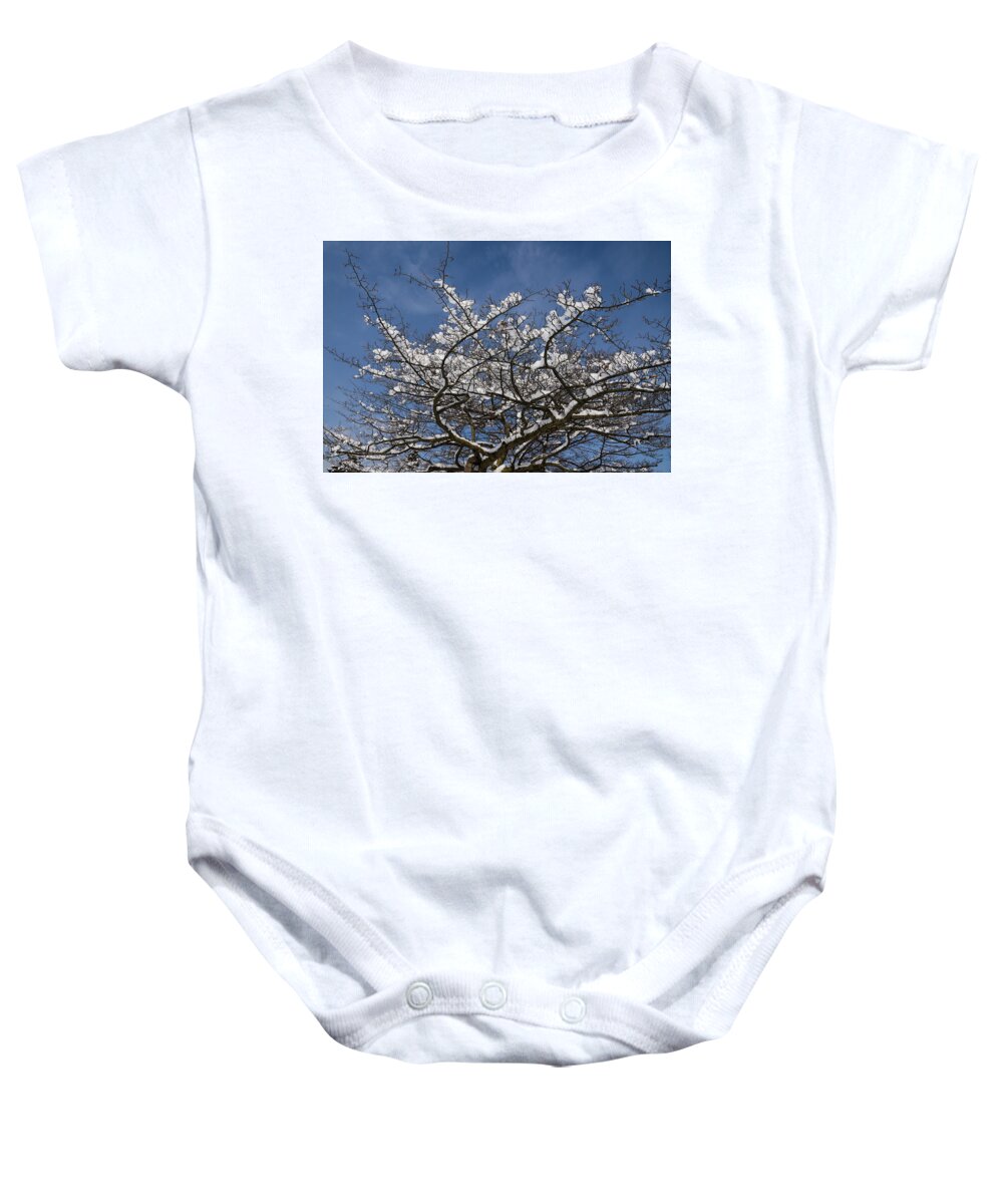 Snow Covered Baby Onesie featuring the photograph Dreaming of a White Christmas by Georgia Mizuleva