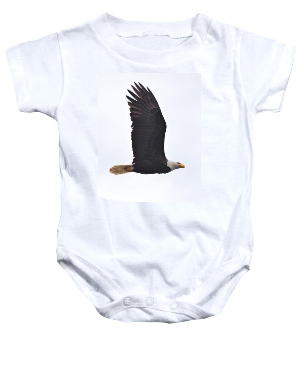 Bald Eagle Baby Onesie featuring the photograph Eagle in Flight by Jeff Cook