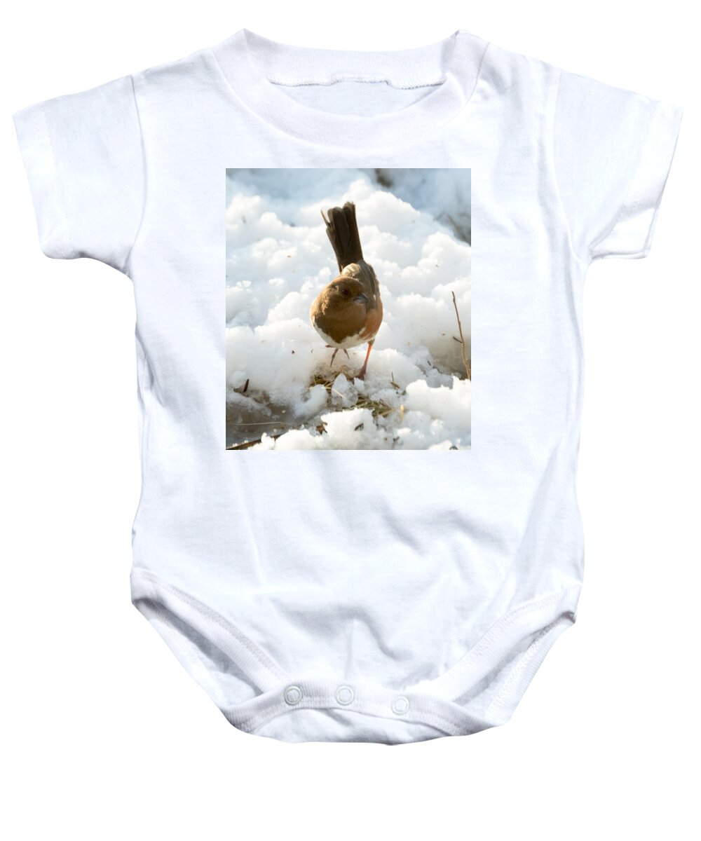 Rufous-sided Towhee Baby Onesie featuring the photograph Eastern Towhee Poses for Photograph by Holden The Moment