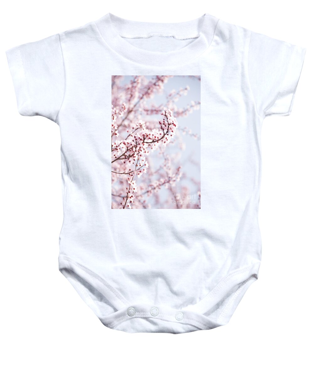 Bloom Baby Onesie featuring the photograph Flowering Tree in Spring by Juli Scalzi