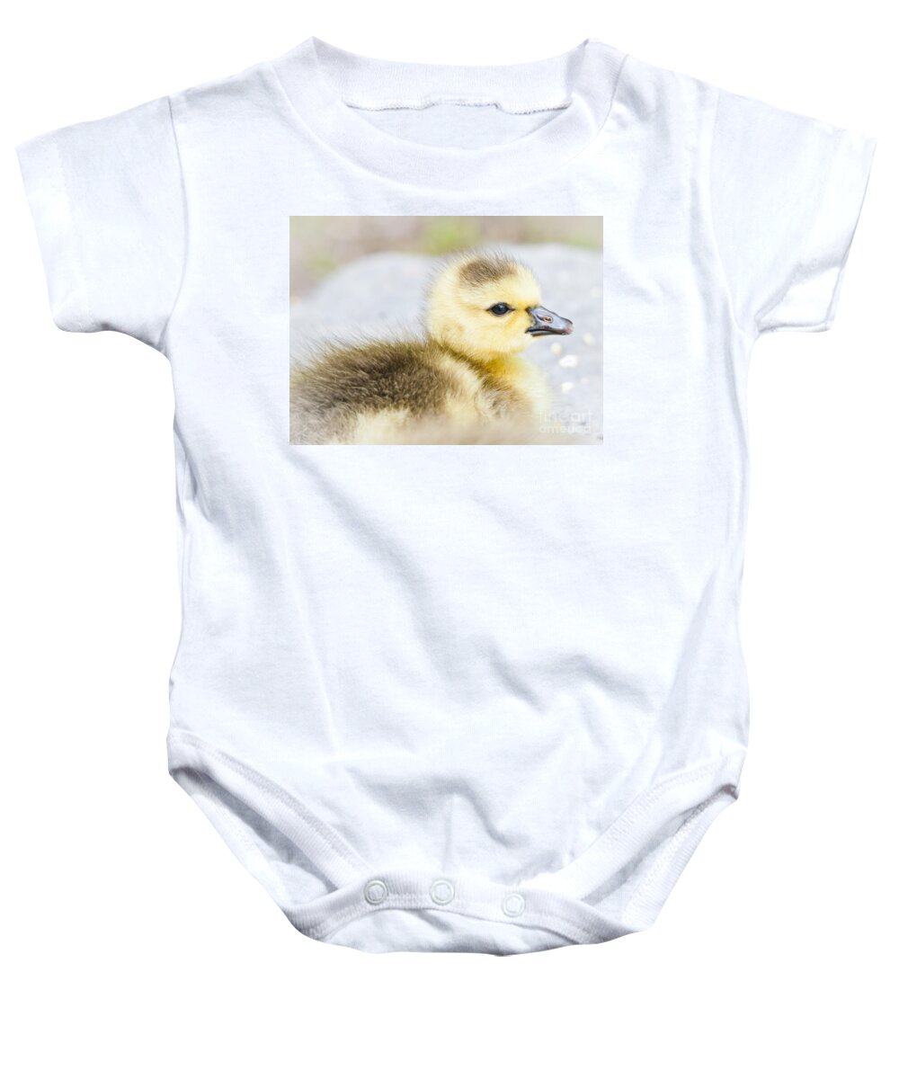 Gosling Baby Onesie featuring the photograph Fuzzy Cuteness by Cheryl Baxter