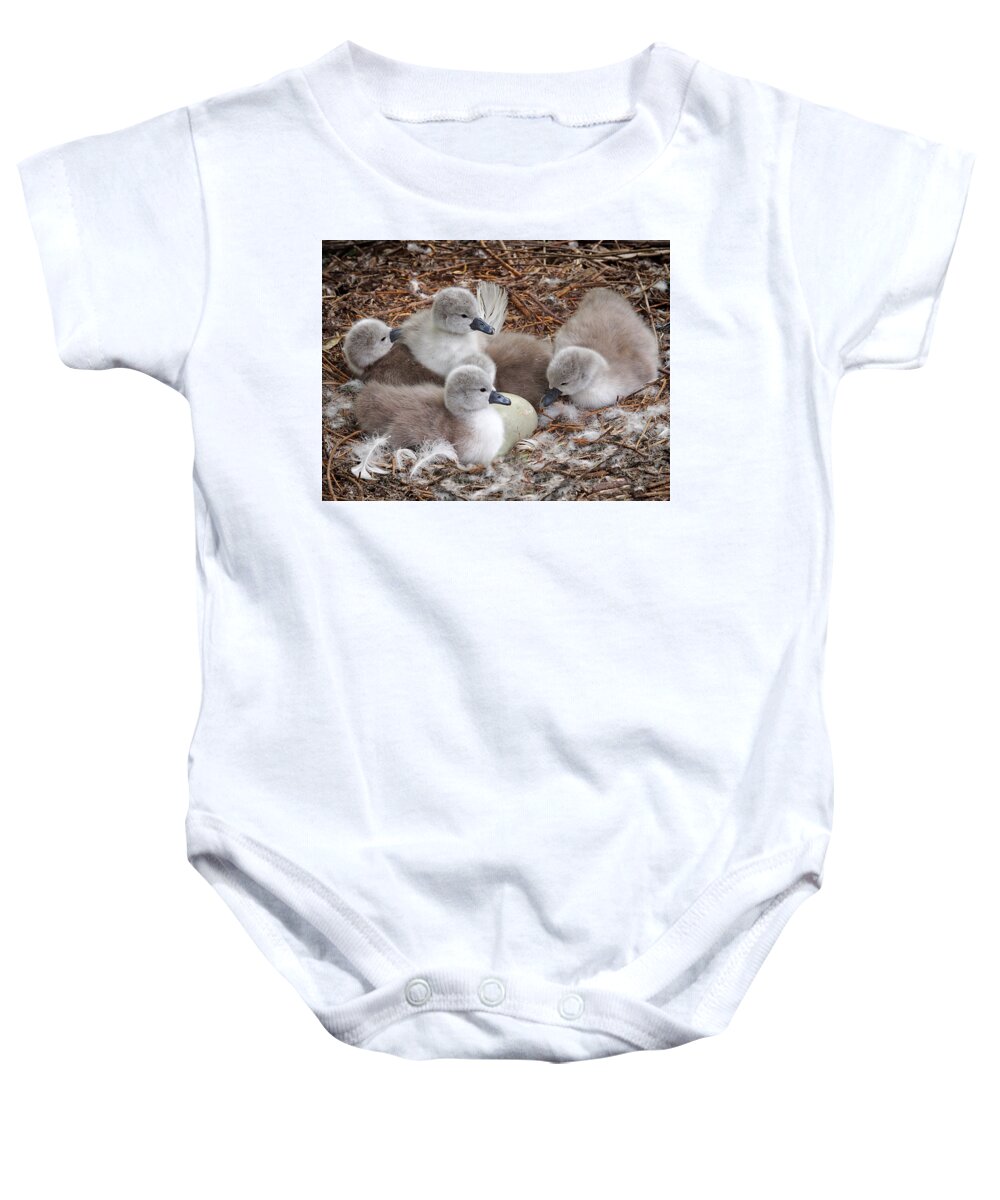 Cygnet Baby Onesie featuring the photograph Get Cracking - You're Late by Gill Billington