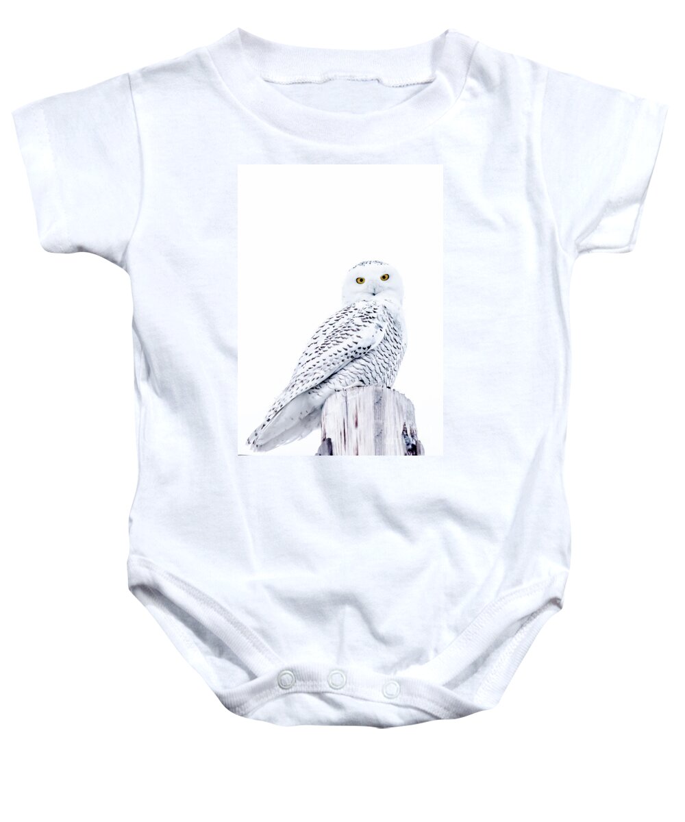 Field Baby Onesie featuring the photograph Gorgeous Snowy Owl by Cheryl Baxter