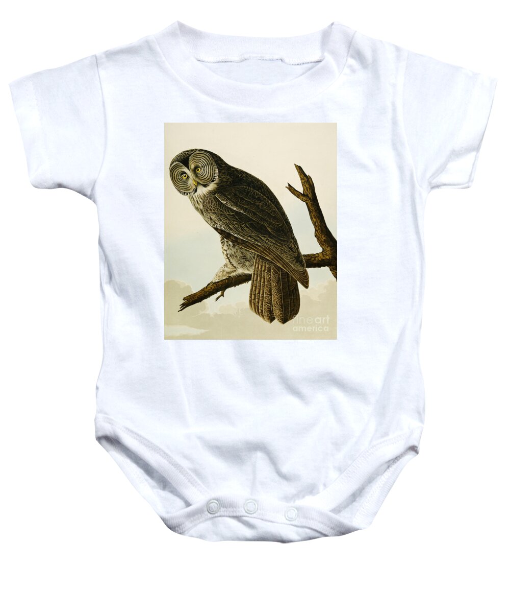 Owl Baby Onesie featuring the painting Great Cinereous Owl by John James Audubon