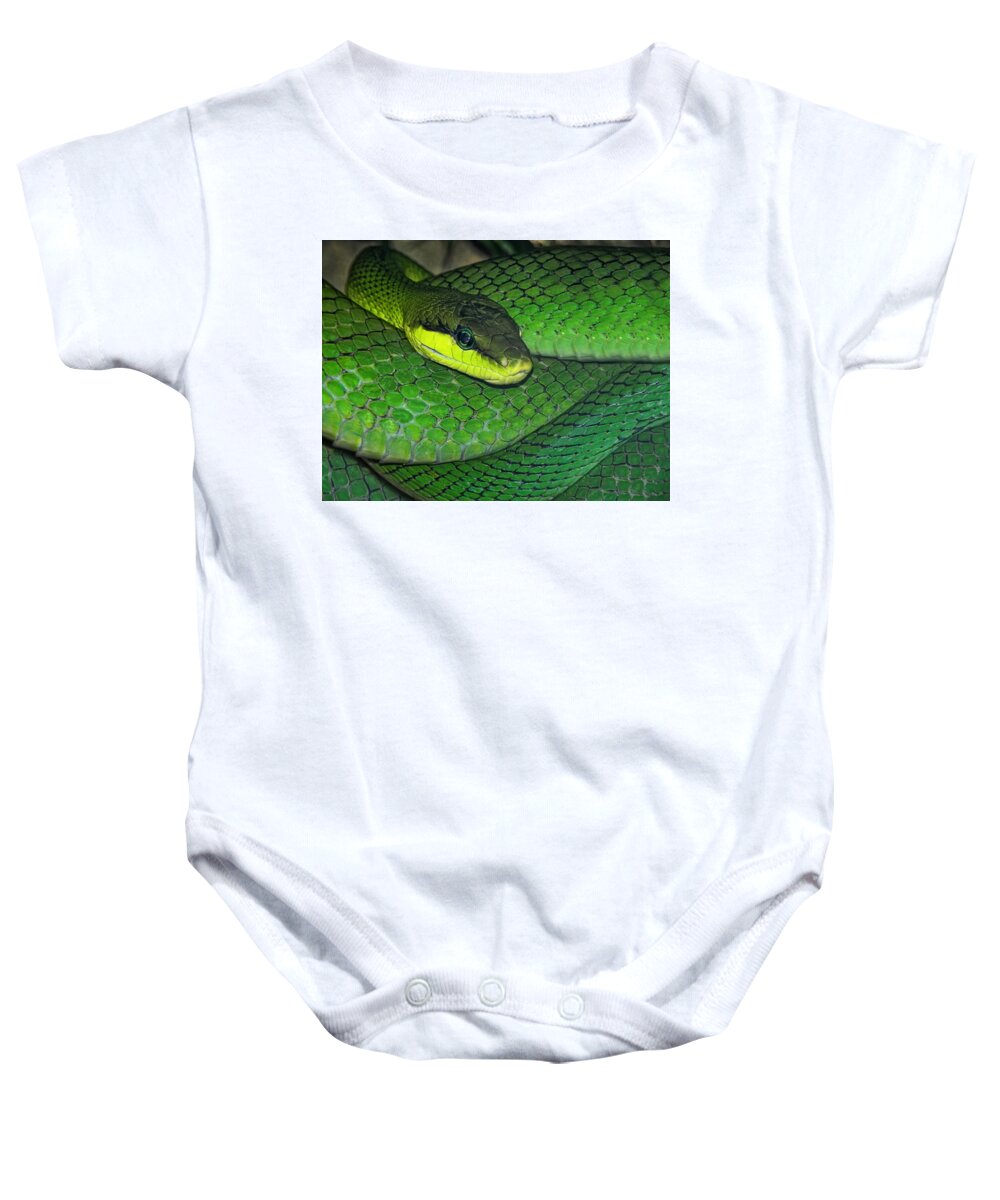 Snake Baby Onesie featuring the photograph Green Viper by Joachim G Pinkawa