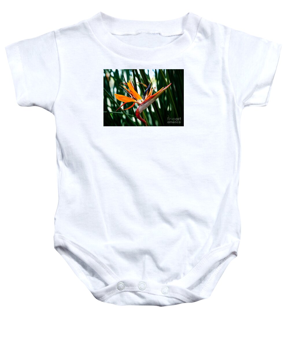 Heliconia Baby Onesie featuring the painting Heliconia by Shijun Munns