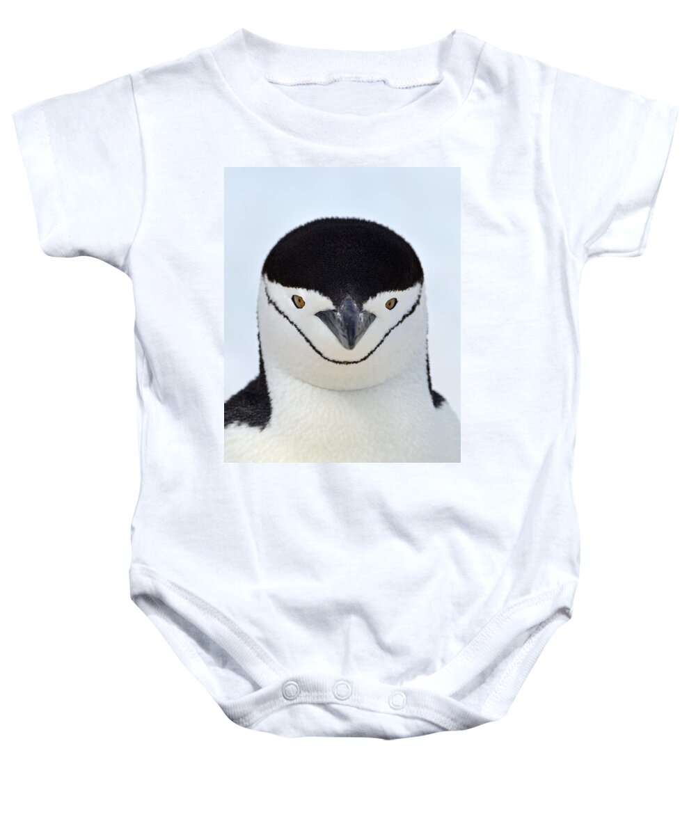 Chinstrap Penguin Baby Onesie featuring the photograph Helmet by Tony Beck