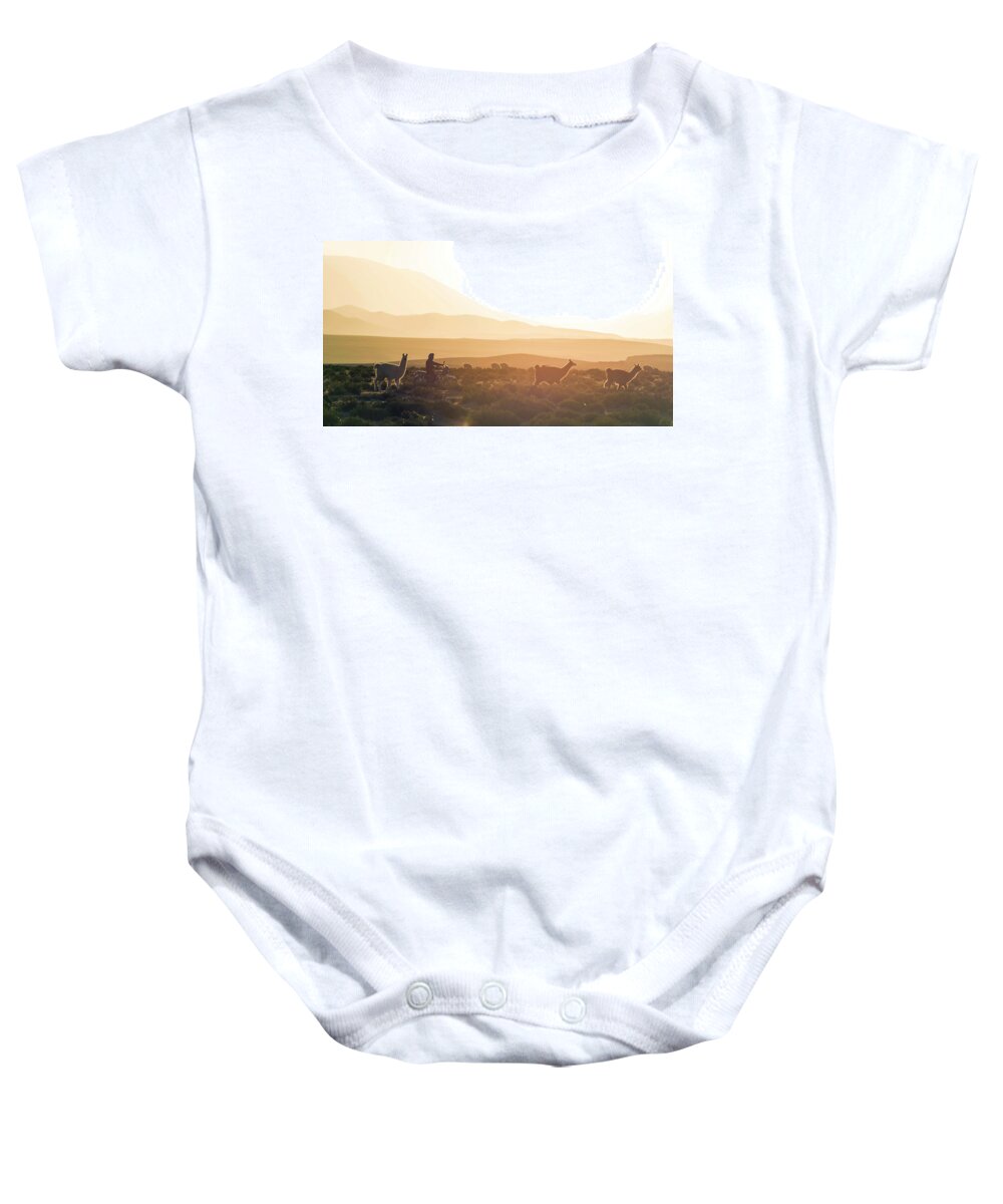 Photography Baby Onesie featuring the photograph Herd Of Llamas Lama Glama In A Desert by Panoramic Images