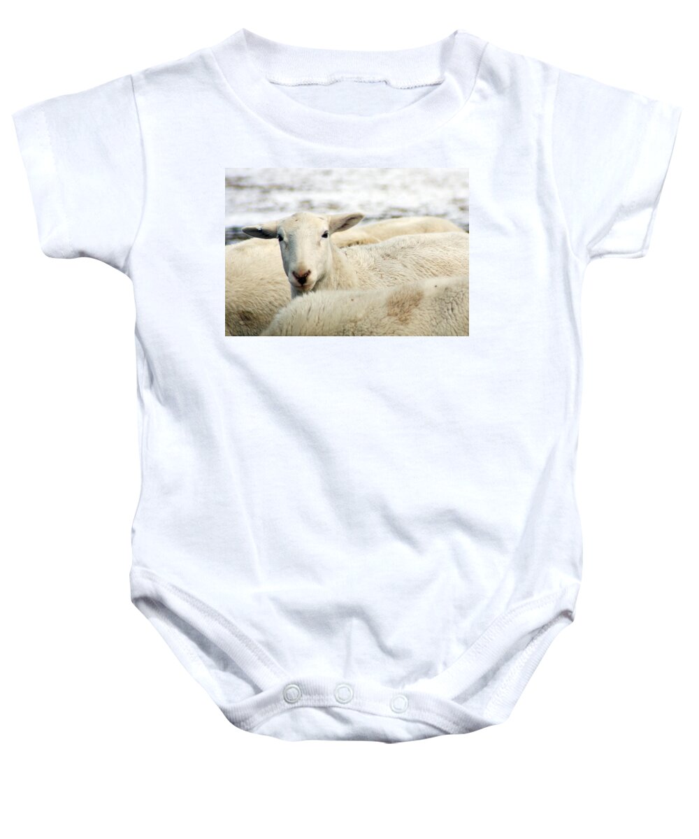 Here's Lookin At You Baby Onesie featuring the photograph Here's lookin at you by Photographic Arts And Design Studio
