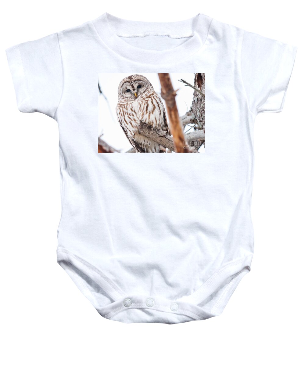 Owls Baby Onesie featuring the photograph Hoot Hoot by Cheryl Baxter