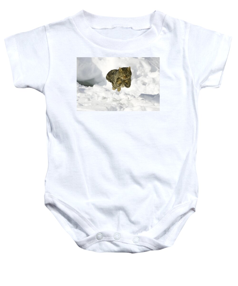 Feb0514 Baby Onesie featuring the photograph House Cat Male Jumping In Snow Germany by Konrad Wothe