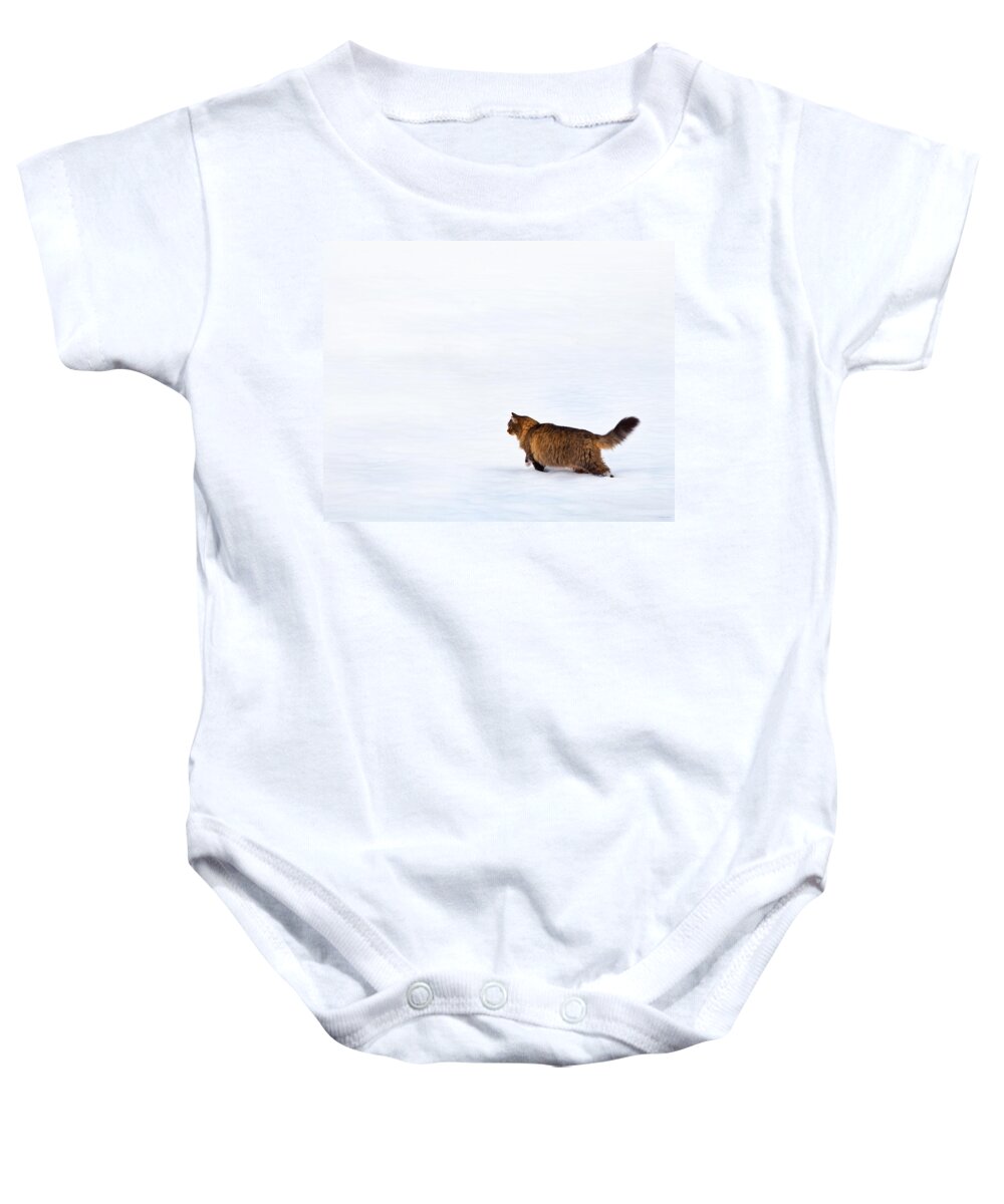 Domestic Cats Baby Onesie featuring the photograph Hunter At Work by Theresa Tahara