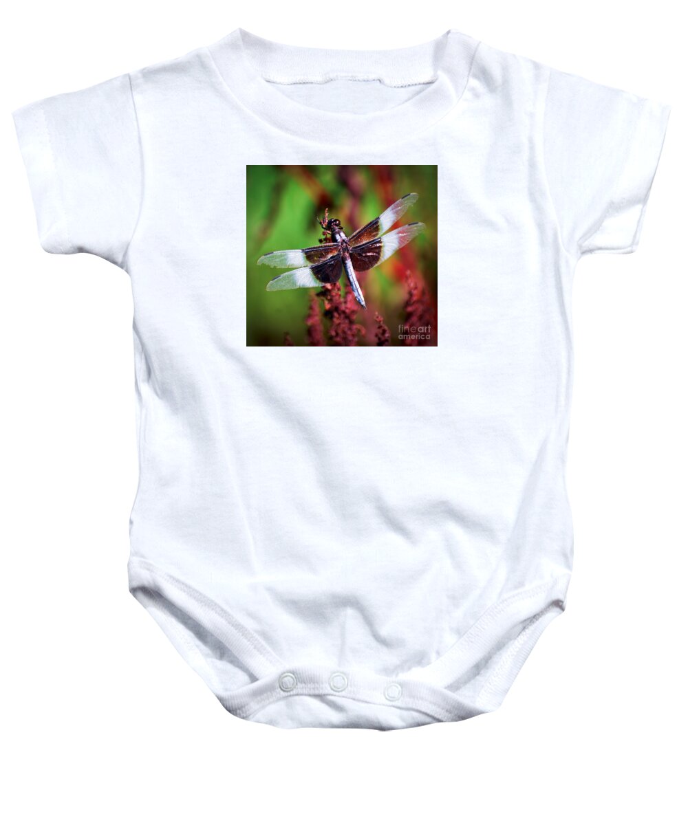 Dragonfly Baby Onesie featuring the photograph In The Red by Kerri Farley