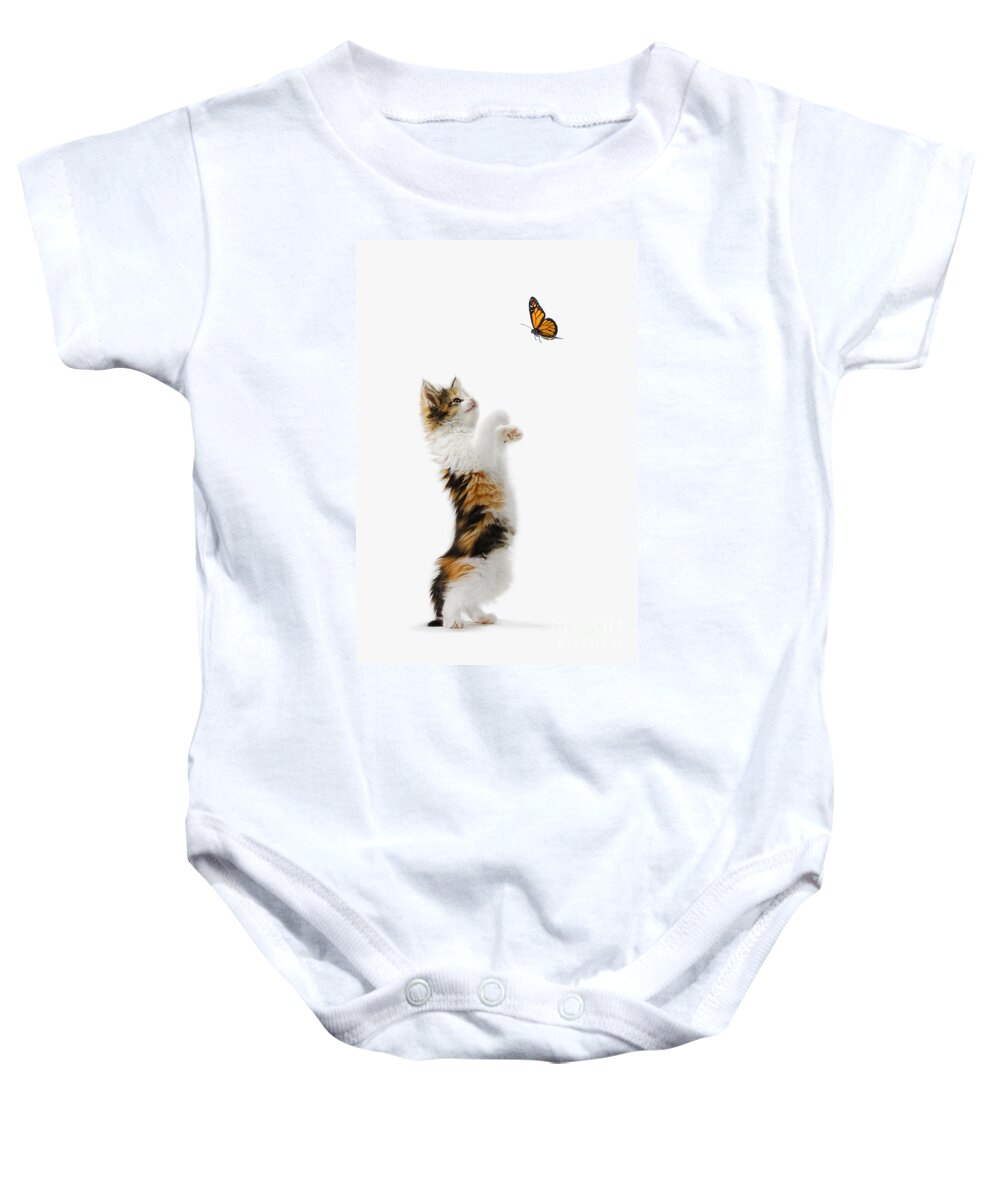 Active Baby Onesie featuring the photograph Kitten and Monarch Butterfly by Wave Royalty Free