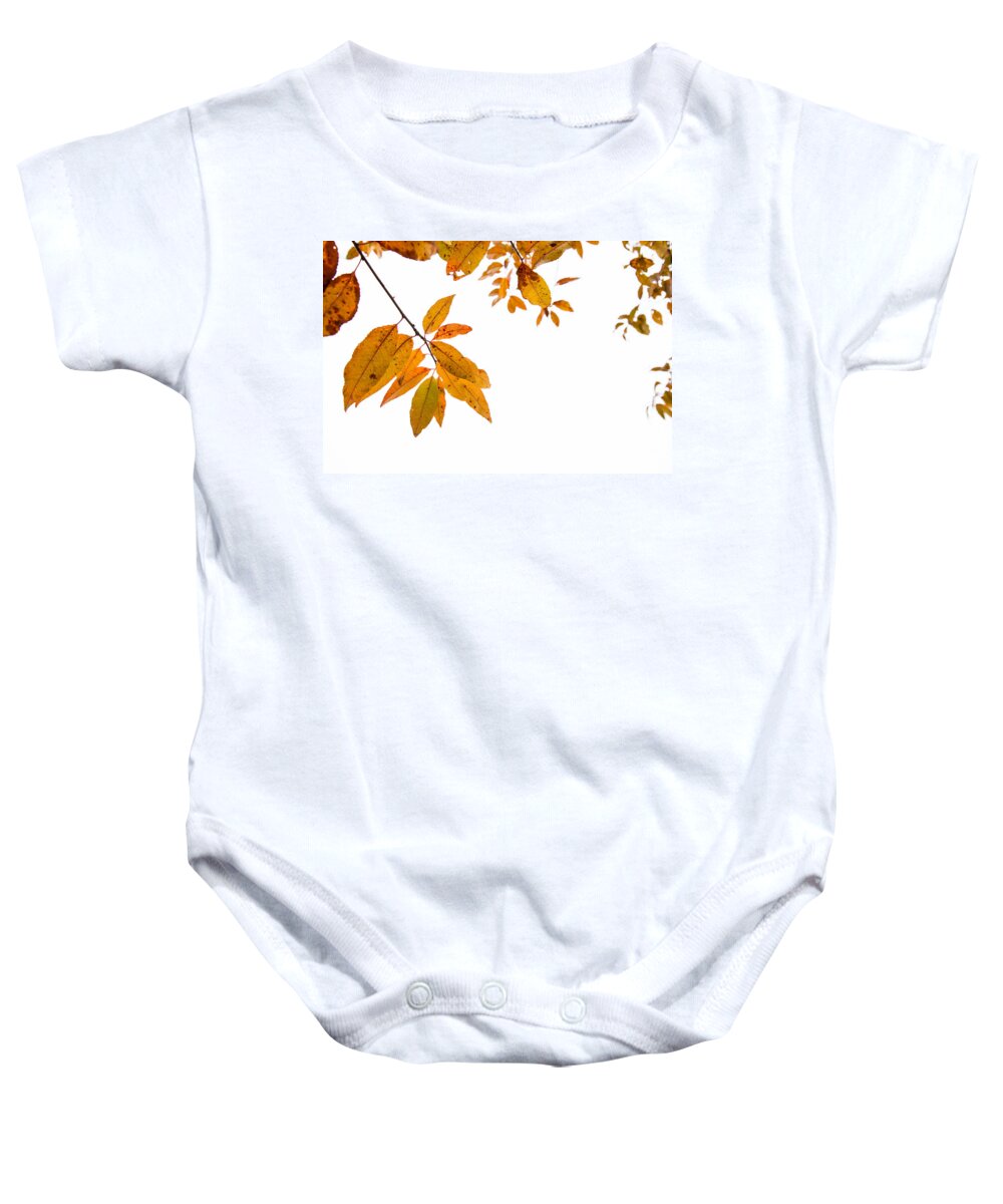 Leaves Baby Onesie featuring the photograph Leaves Changing by Karol Livote