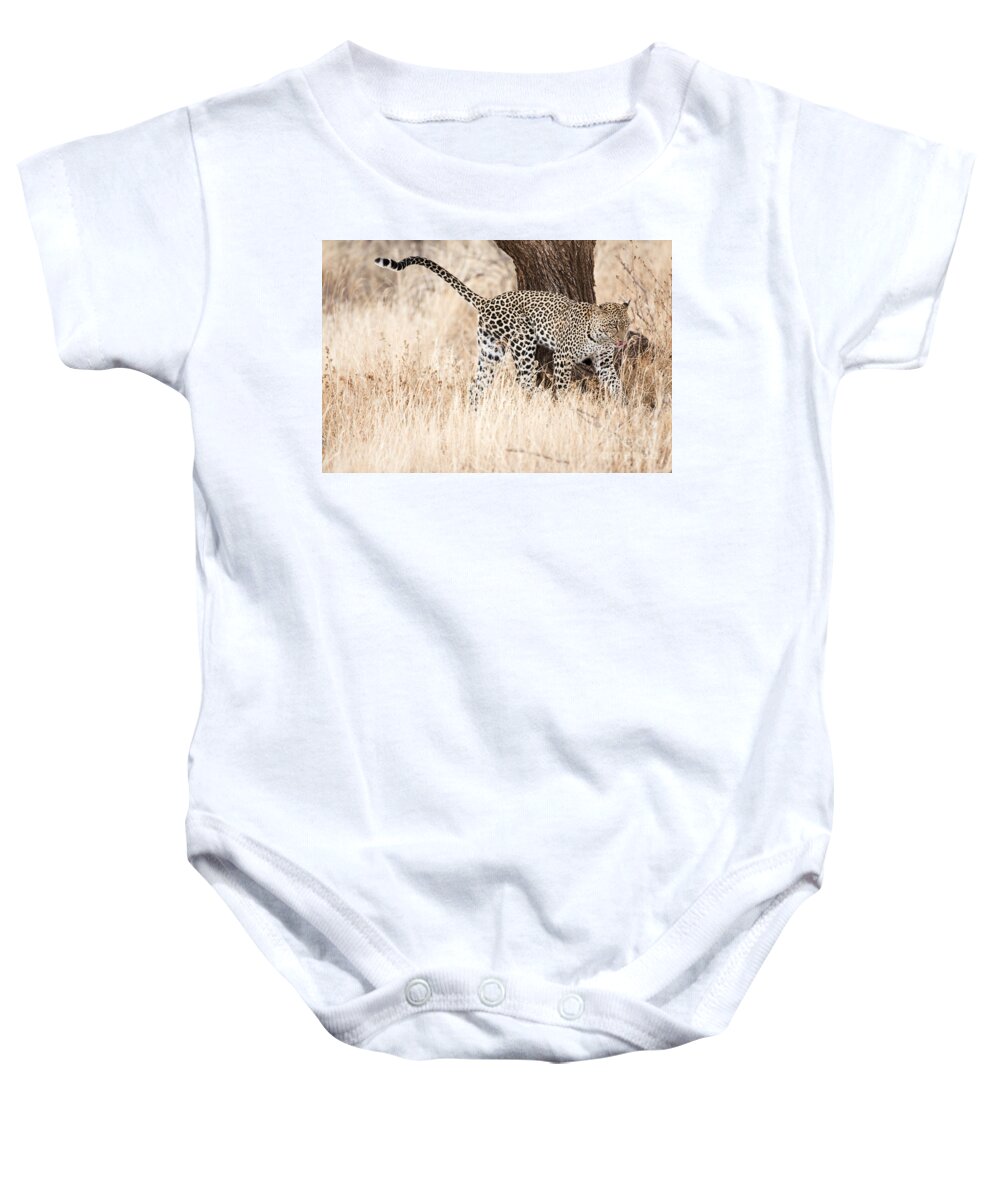 Leopard Baby Onesie featuring the photograph Leopard 1 by Eyal Bartov