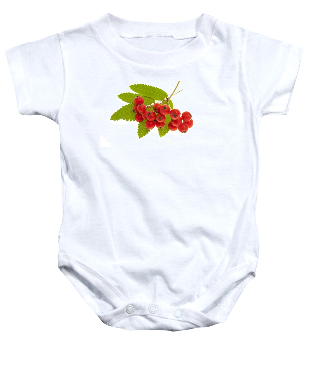 Berries Baby Onesie featuring the photograph Mountain ash berries 3 by Elena Elisseeva