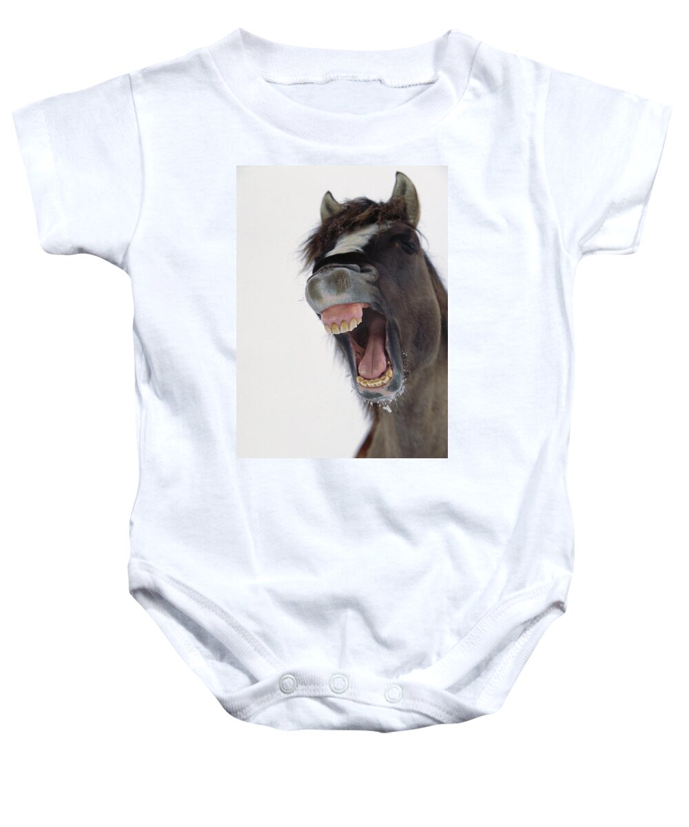 00340139 Baby Onesie featuring the photograph Mustang Stallion Yawning by Yva Momatiuk John Eastcott