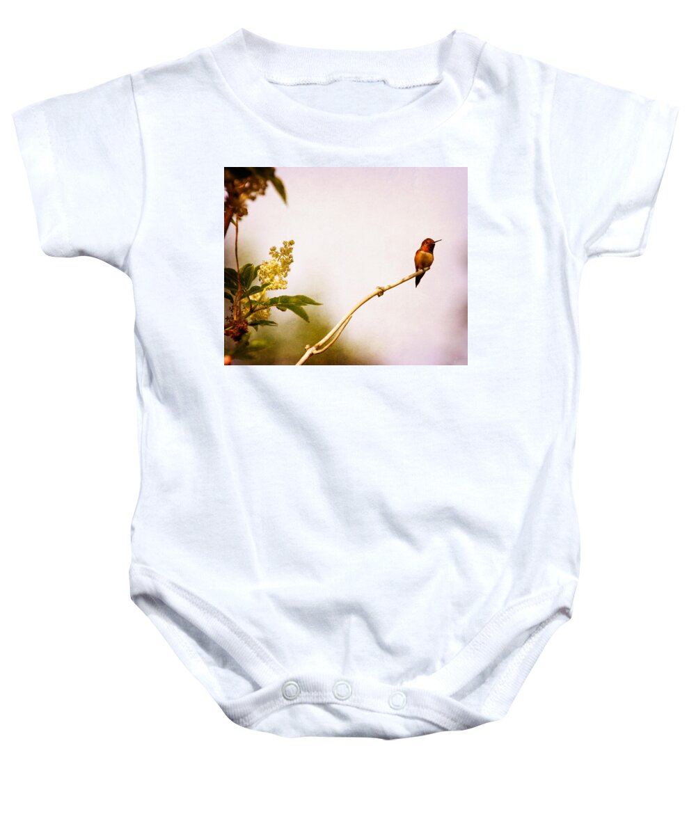 Hummingbird Baby Onesie featuring the photograph Out on a Limb by Peggy Collins