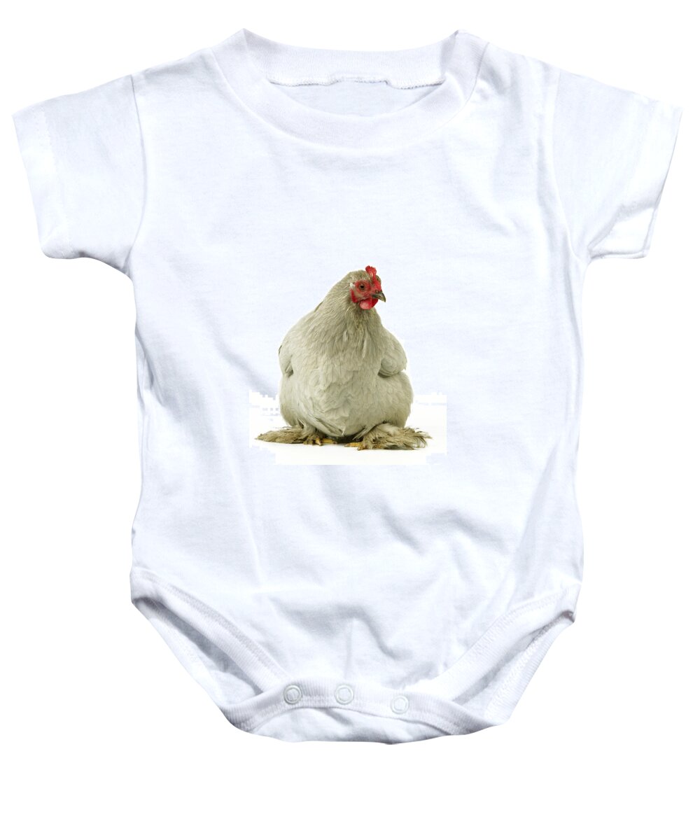 Chicken Baby Onesie featuring the photograph Pekin Chicken by Jean-Michel Labat