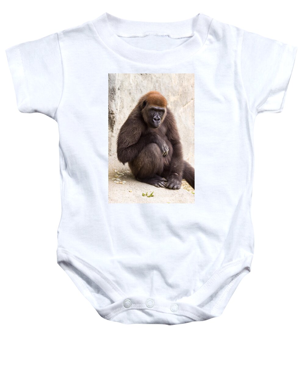 Africa Baby Onesie featuring the photograph Pensive Gorilla by Raul Rodriguez