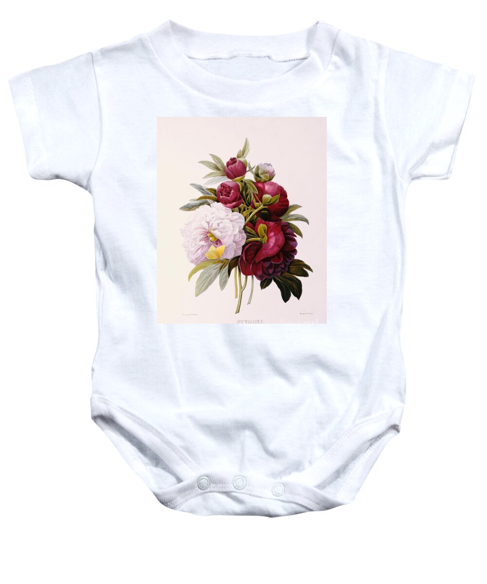 Peony; Flower; Flowers; Pink; White; Botanical Baby Onesie featuring the painting Peonies engraved by Prevost by Pierre Joseph Redoute